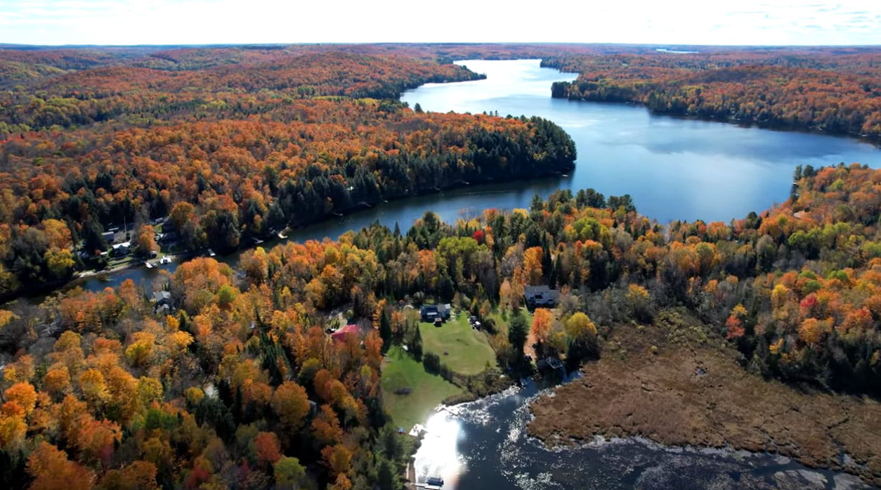 7 Fires Fine Art | Haliburton